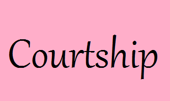 Courtship 10: Pants as the Need Requires