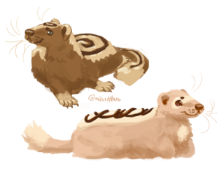 Confectionery ferrets