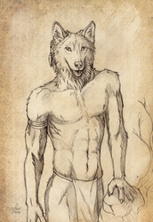 Berkwolf