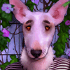 avatar of unagi