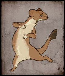 Ruse the stoat