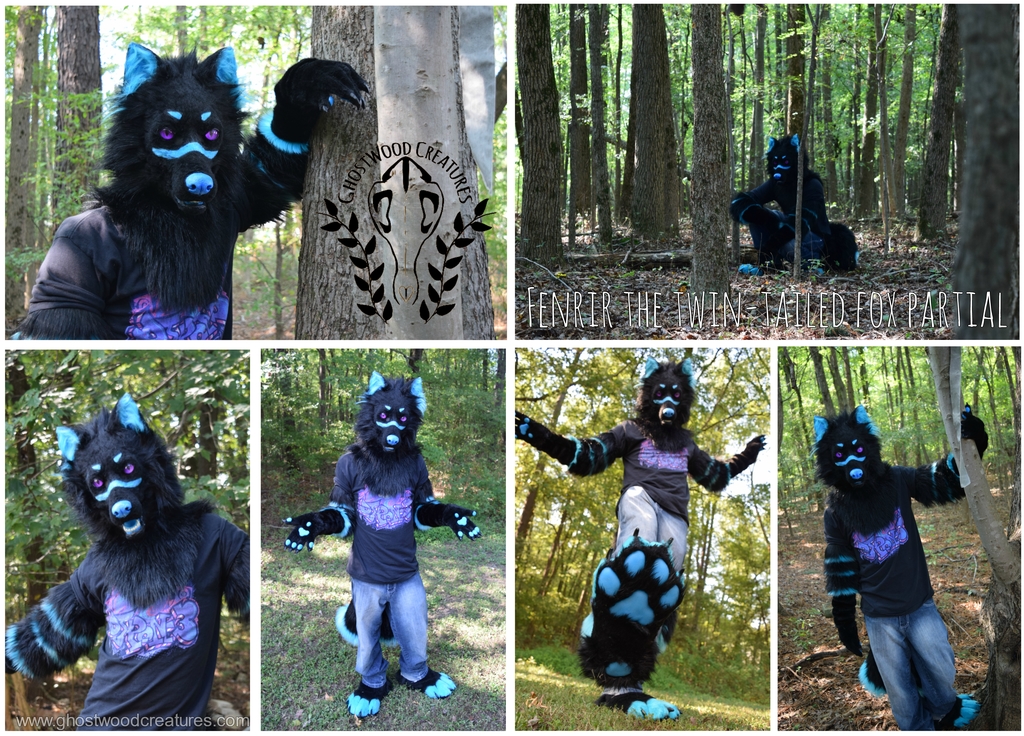 [//Commission] Fenrir the Two-Tailed Fox Partial