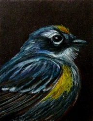 Miniart--Yellow-Rumped Warbler