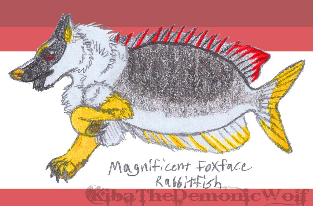 Whimsical Wolves - Fish Wolf - Magnificent Foxface Rabbitfish
