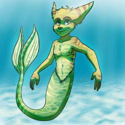 Mermaid Ratchet
