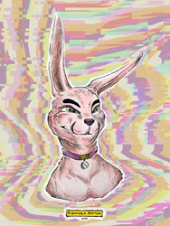 Pink Rabbit-Fox
