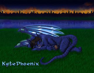[2009] Kyte Phoenix