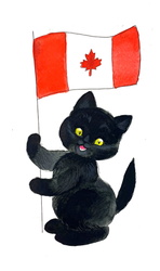 Canadian Kitten