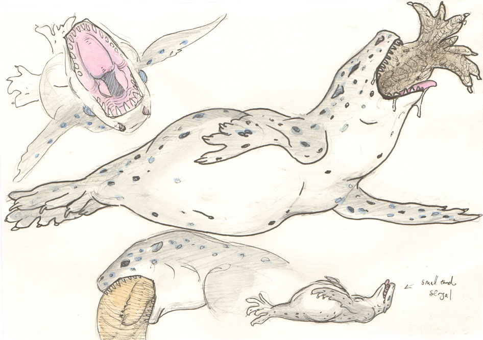 Leopard Seal noms