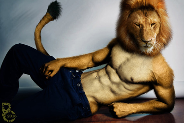 Sexy Lion