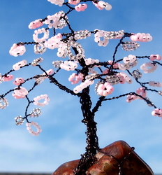 Cherry Blossom Tree on a Sunny Fall Day