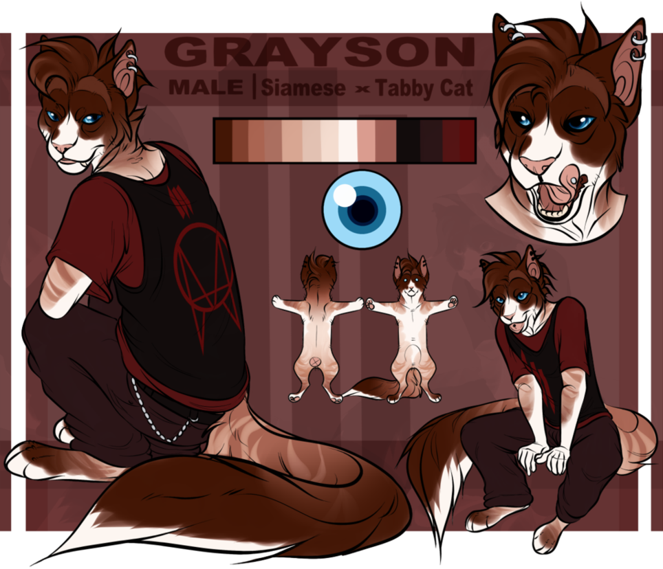 Grayson - Sold Adopt