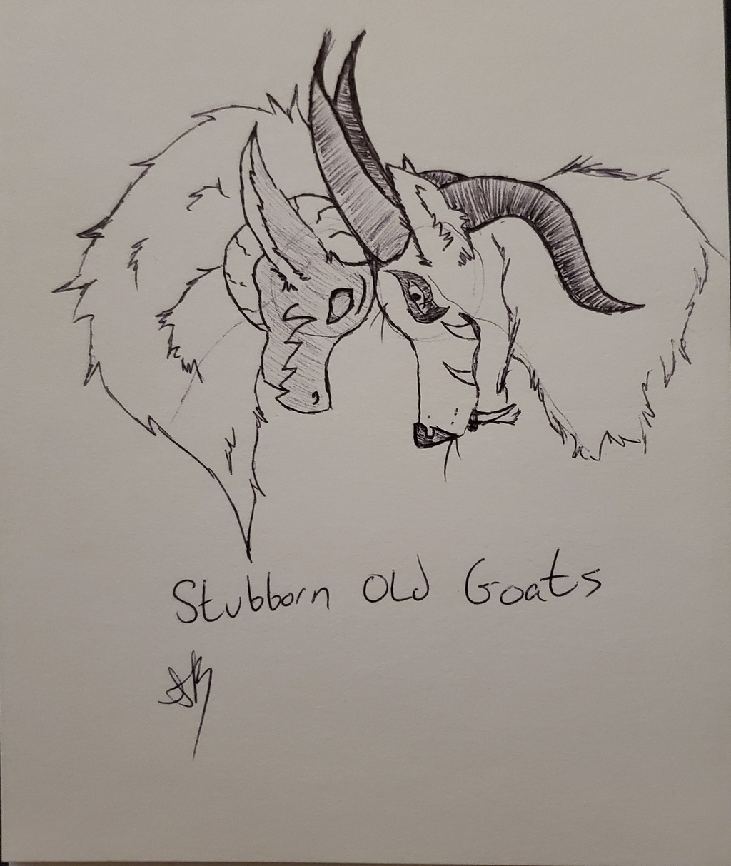 Most recent image: Stubborn old goats