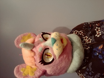 Fursuit head and Character rights for sale