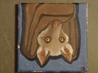 SOLD: Fruit Bat