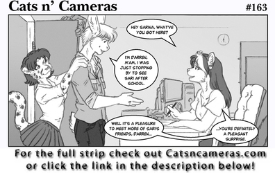 Cats n Cameras Strip #163 Boot to the head