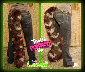 Leonil Tail