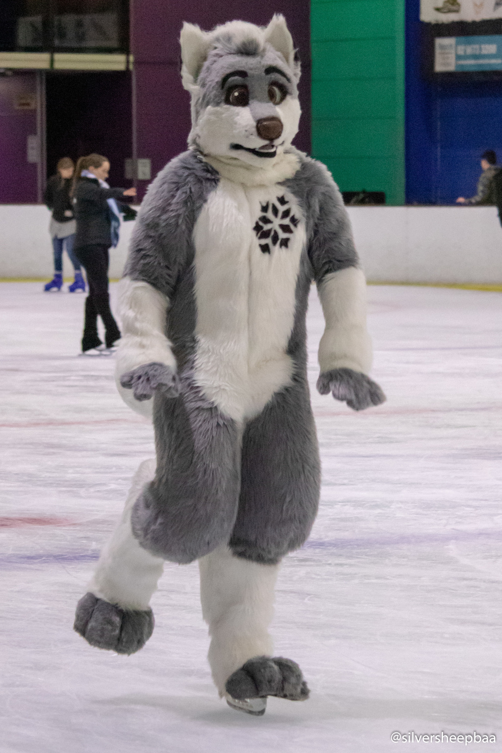 Furries on Ice 2018: Arti Husky 2
