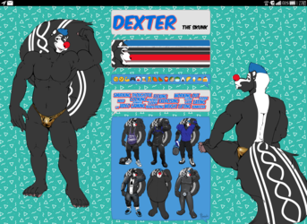 Dexter the skunk reference sheet