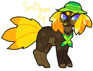Sunflower pup