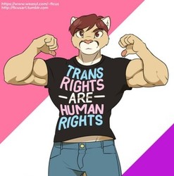 Trans Support Prrfler