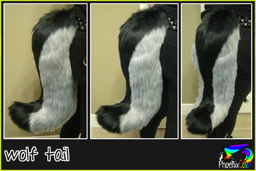 gray wolf tail