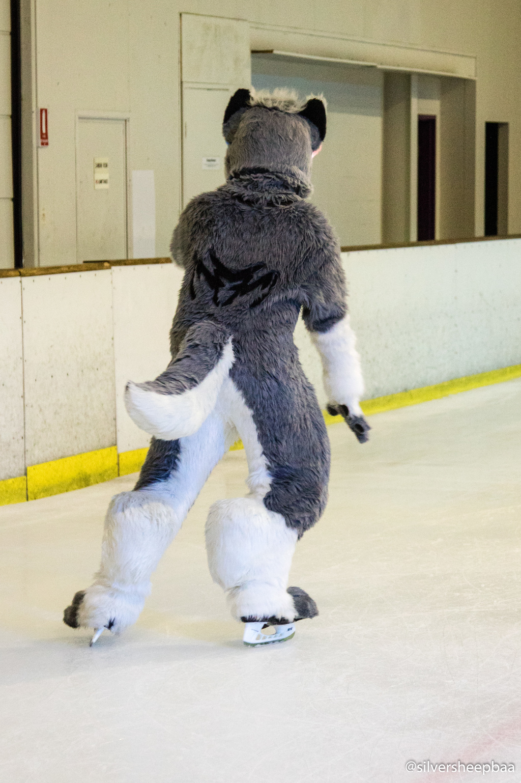 Furries on Ice 2017: A Husky's Paw Skates