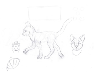 Cat Ref Sheet - Sketch