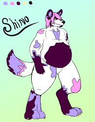 Shino the 'painted' dog