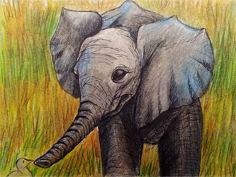 Baby Elephant ACEO - For Sale