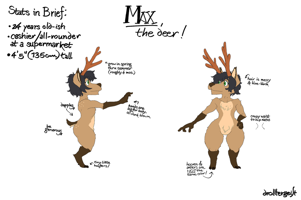 Max's new reference sheet!