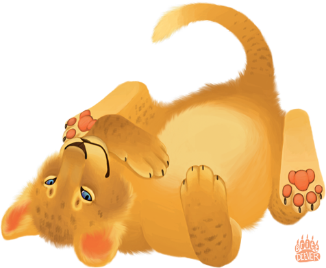 Baby African Lion Cub