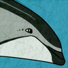 Avatar for kai-dolphin