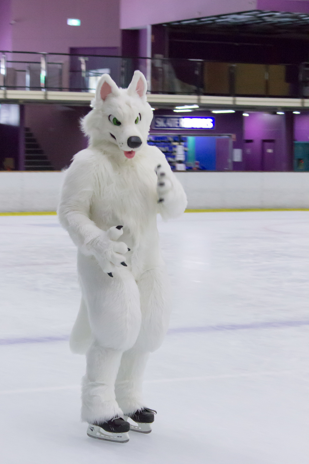 Furries on Ice: Diego the Arctic Wolf