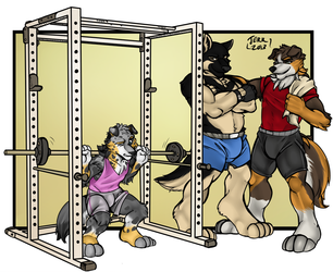 Commission: Do You Even Lift?