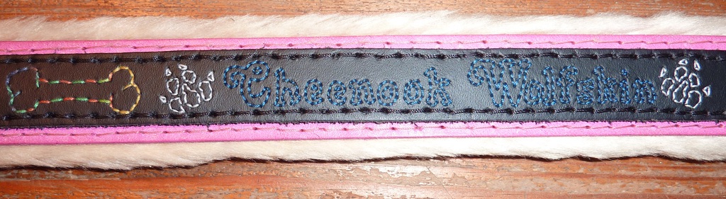 Collar for Cheenook Wolfskin 2/3 ( Furry Art )