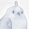 avatar of bird