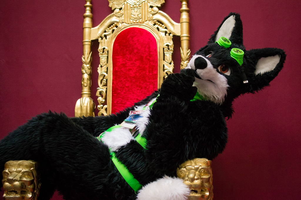 Most recent image: It's tough being king!