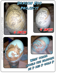Dragon Egg Project