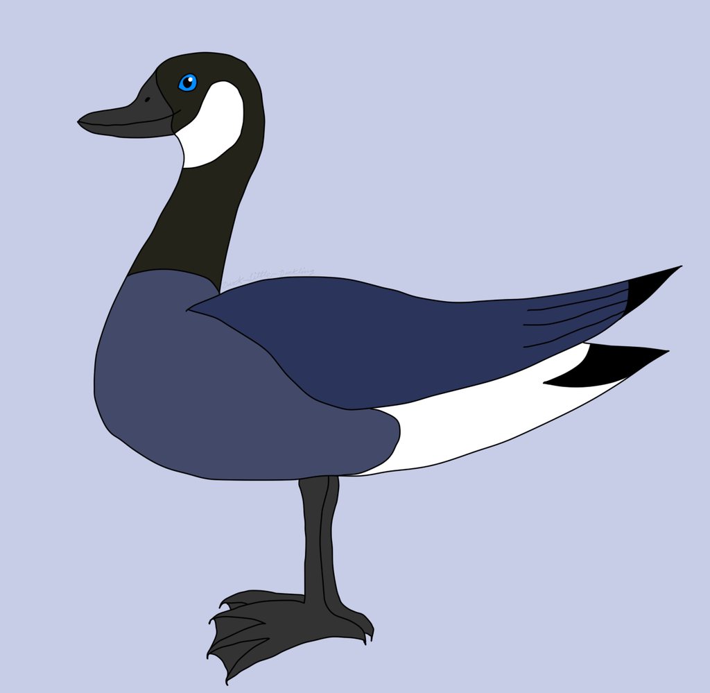 Just a mostly-ordinary goose