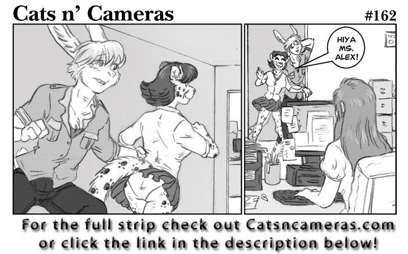 Cats n Cameras Strip #162 - Keep him busy