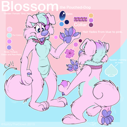 Blossom the Pouched-Dog Reference Sheet