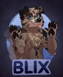 [C]Blix badge