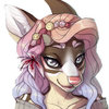 avatar of Zeka