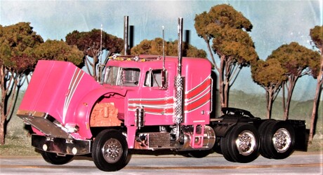 Tough trucks wear pink!