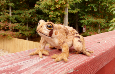 Needle Felted Eastern American Toad