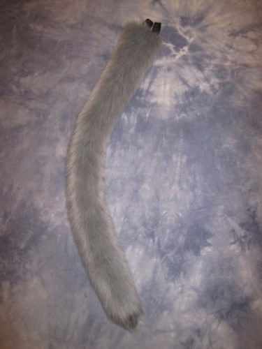Grey Kitty Tail