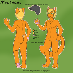 MattoCat Reference Sheet by Mander