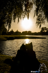 Sunset of Two Lovers
