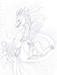 Sketch Dump 3 - Purue the Fairy Dragoness